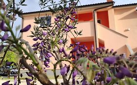 Apartman Tramonto